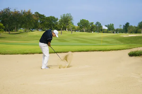 Majestic Creek Country Club — 写真 3