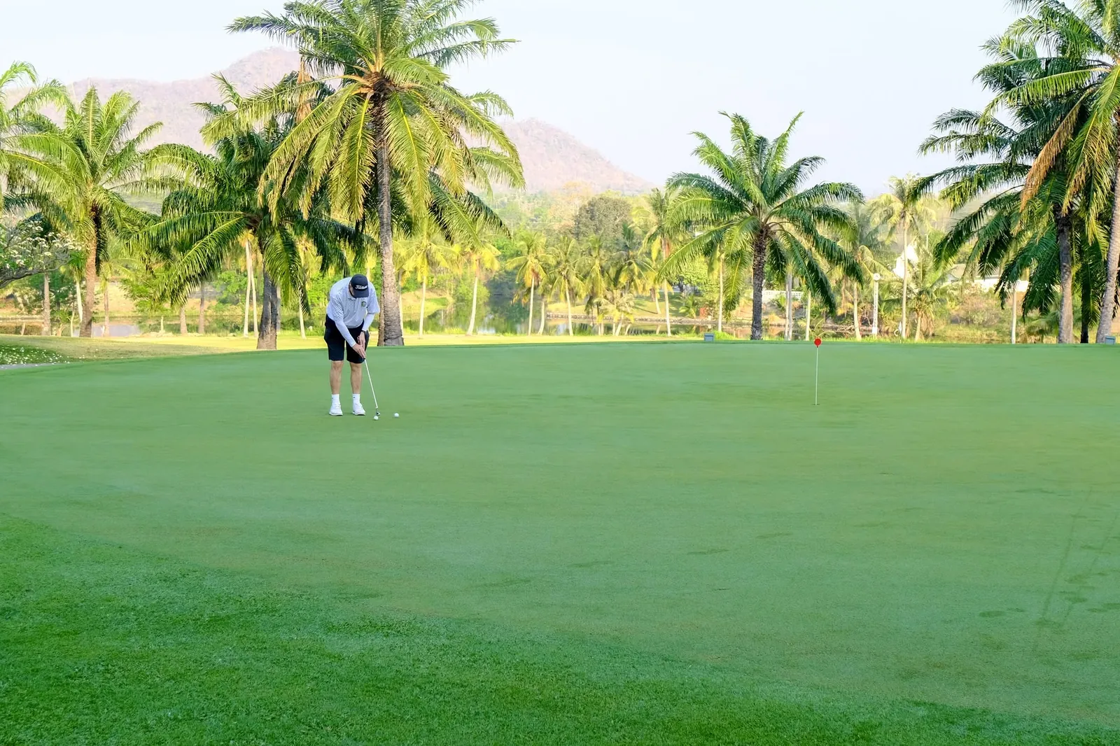 Palm Hills Golf Resort