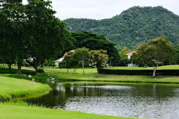 Palm Hills Golf Resort — photograph 4