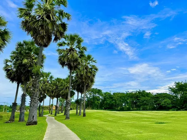 Palm Hills Golf Resort — photograph 9