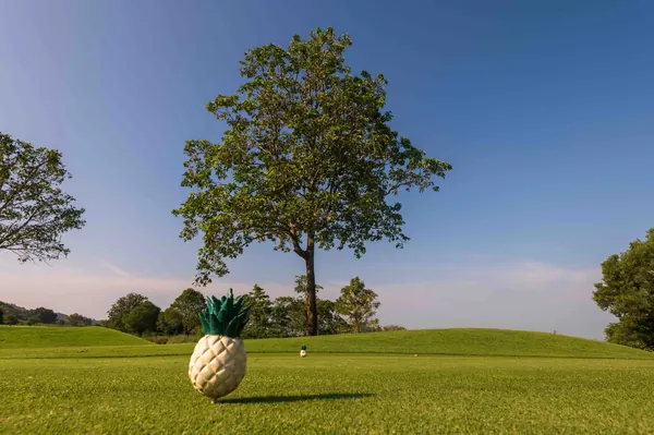Pineapple Valley Golf Club — photograph 4