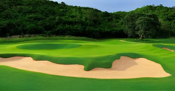 Pineapple Valley Golf Club — photograph 5