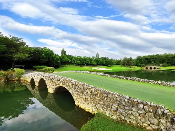 The RG City Golf Club — 사진 5