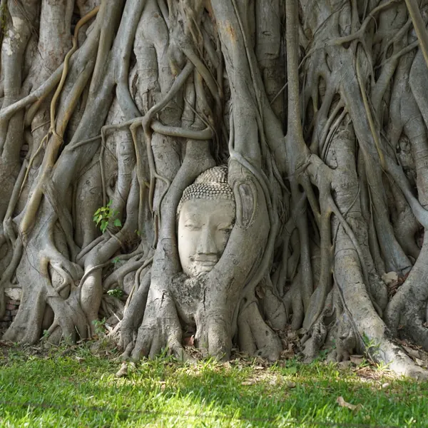 Ayutthaya by van & river cruise — photograph 6